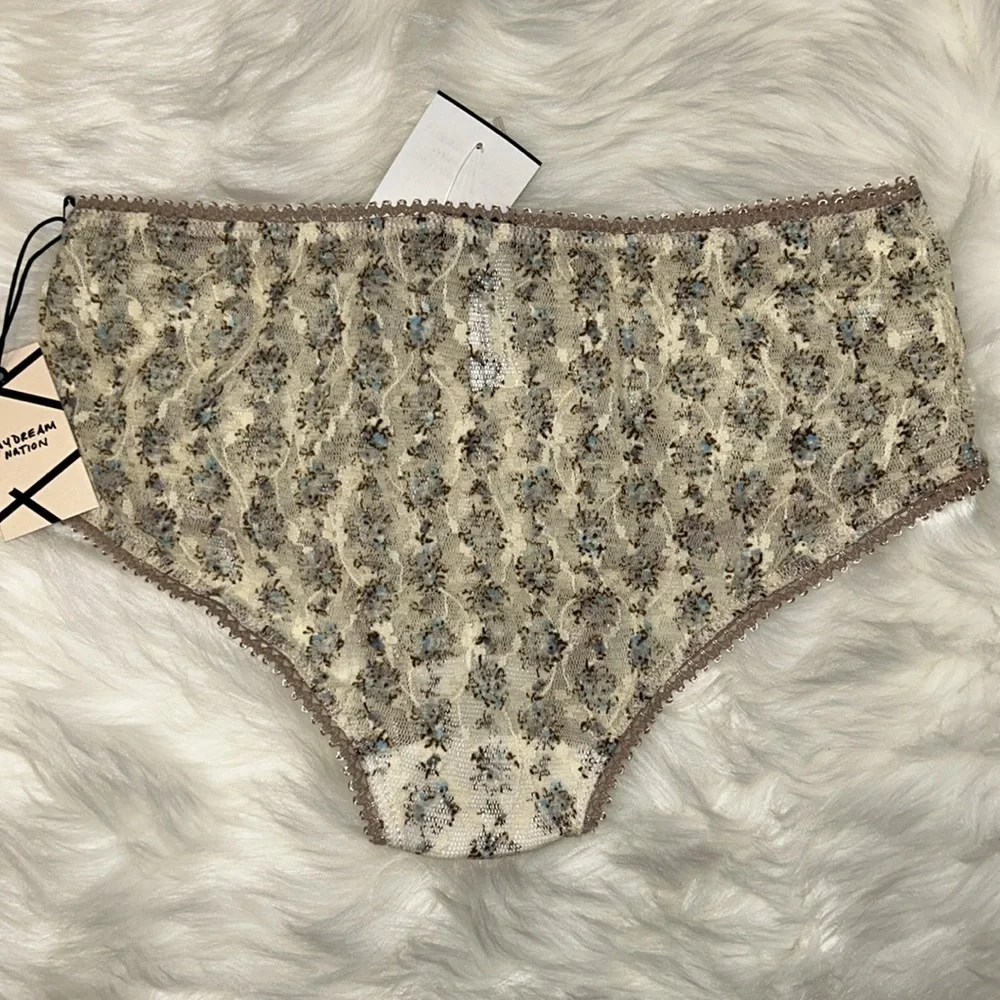 DAYDREAM NATION | Wilshire Pany - Floral Mesh Lace Panty in Tan - Picture 4 of 4